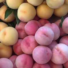 a pile of peaches sitting next to each other