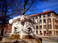 a stone lion statue in front of a building