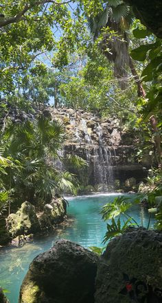 a small waterfall in the middle of some trees