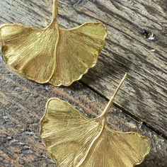 New Nature Walk Leaf Earrings Nwot Features: Gold Alloy Hook Earrings, Leaf Shaped With Textured Detail. Earrings Leaf, Nature Walk, Anthropologie Jewelry, Gold Alloys, Leaf Jewelry, Walking In Nature, Earrings Color, Leaf Shapes, Leaf Earrings