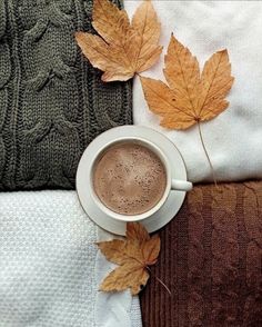 a cup of hot chocolate next to some autumn leaves and sweaters on a couch