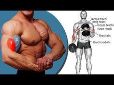 an image of a man with muscles and dumbbles on his chest holding a barbell
