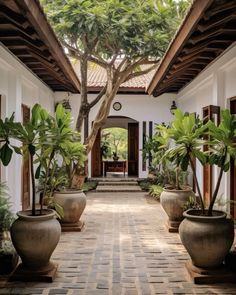 a courtyard with potted plants on the walkway