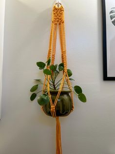 a potted plant hanging on a wall with a rope around it and some green plants