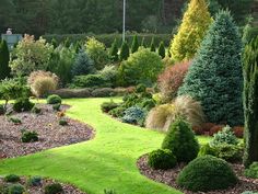 a garden filled with lots of different types of trees and shrubs next to each other