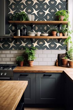 some plants are sitting on the shelves in this kitchen, and there is also a stove