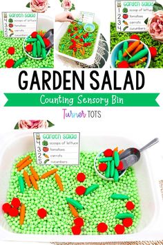 garden salad counting and sorting activity for toddlers