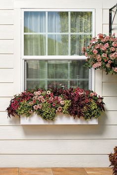 a window box filled with pink flowers next to a white wall and wooden flooring