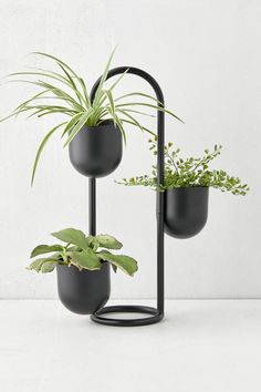 three black planters with plants in them on a white surface, one is hanging from a metal stand