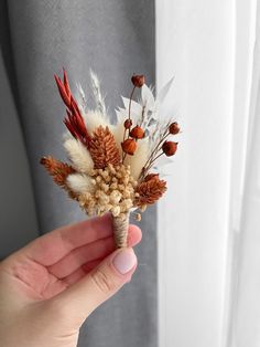 a hand holding a dried flower in front of a white curtain with red and orange flowers