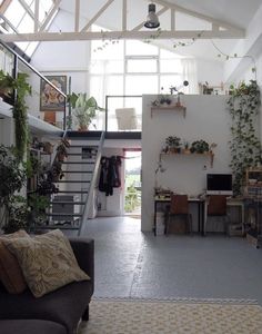 a living room filled with furniture and lots of plants