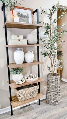 a shelf with vases and other items on it next to a potted plant