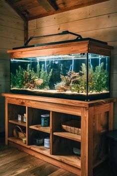 a fish tank sitting on top of a wooden shelf