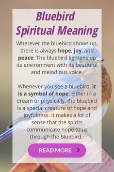 Do you know what is the Bluebird spiritual meaning and symbolism? I will explain everything you need to know in this articles. So, just continue reading below! The bluebird is a unique creature with several pleasant qualities. It exudes so much beauty and pleasantness, which is the reason why the universe uses it to pass a message across to us at different times in our life. Bird Meaning, Angel Guidance, Crystal Guide, Hope Symbol, Animal Totems