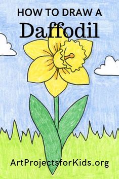 the cover of how to draw a daffodil by art projects for kids