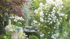 the garden is full of white flowers and greenery, with a birdbath in the center