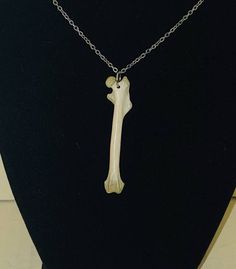 Real squirrel long bone necklace. Real, ethically sourced squirrel long bone necklace. A unique and gothic piece of jewelry. Made with coppor colored metal alloy chain and closures. Not one necklace is ever the same! All bones used in my jewelry and art are ethically sourced. No animals were harmed for the making of my jewelry and artwork. Due to the nature of the source, colors of bones can vary and each bone is unique in shape and size.  All bones have been washed and whitened. Please take off Animal Bone Jewelry, Bone Accessories, Fancy Attire, My Pet Dog, Map Making, Vulture Culture, Black River, Necklace Gothic, Bone Art