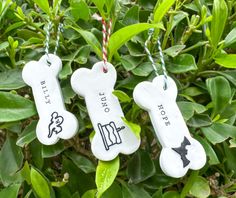 three dog bone ornaments hanging from a tree