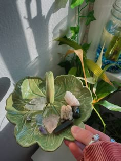 a person holding a green leaf shaped dish with crystals on it next to a potted plant