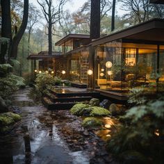 a house in the woods is lit up at night