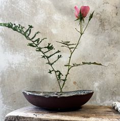 a pink flower in a bowl sitting on top of a wooden table next to a wall