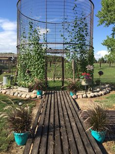 a wooden platform with plants growing on it