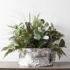 a potted plant sitting on top of a wooden table