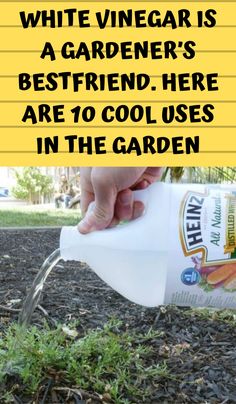 someone is pouring water from a bottle into the ground with text overlay that reads, white vinegar is a gardener's best friend here are 10 cool uses in the garden