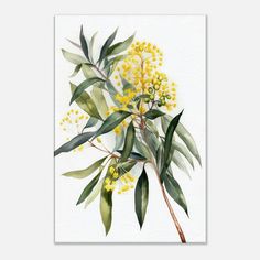 a watercolor painting of yellow flowers and green leaves on a white background with the words,