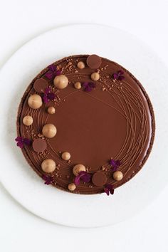 a chocolate cake sitting on top of a white plate