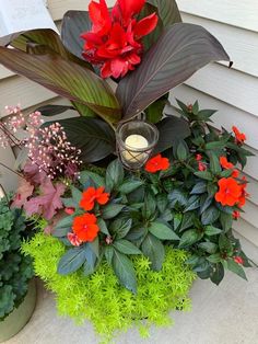 some red flowers and green plants on the ground