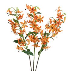 an arrangement of orange flowers in a vase