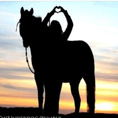 the silhouette of a person standing next to a horse with their hands in the shape of a heart