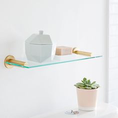 a glass shelf with a potted plant on it next to a white vase and soap dispenser