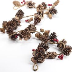 pine cones and berries are arranged on a white surface