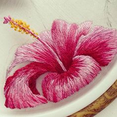 a close up of a pink flower on a white plate with a wooden ruler next to it