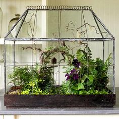 a glass house filled with plants on top of a table