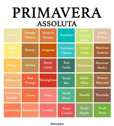 the color scheme for primaveraa asolouta, which includes many different colors