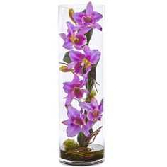 purple flowers are in a glass vase with moss on the bottom and green plants inside