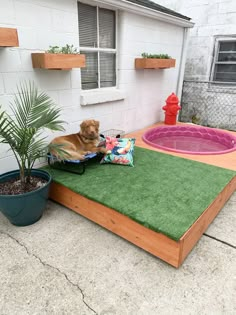 (paid link) Dog Pool: It's been warm here lately when several 100 degree days. My dog, Darwin - a golden retriever ... Dog Pool Diy, Dog Apartment, Dog Supplies Organization, Dog Nook, Backyard Dog Area, Dog Friendly Backyard, Dog Backyard, Puppy Palace, Dog Corner