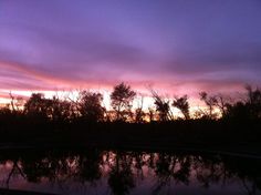 the sky is purple and pink as the sun sets in the distance with trees reflected in the water