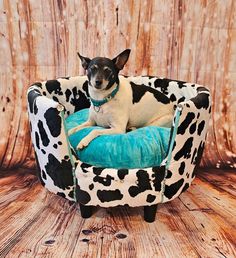 a black and white dog sitting in a cow print dog bed