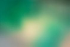 a blurry image of green and white colors in the background is an orange bird