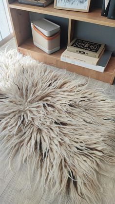 a shaggy rug on the floor in front of a book shelf with books and other items