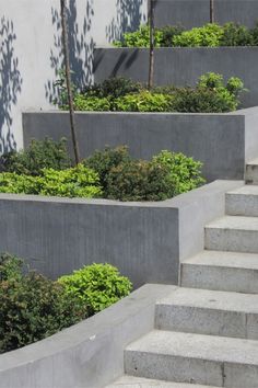 some concrete steps with plants growing on them