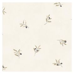 Select CK36606 Creative Kitchens Olive Sidewall  by Norwall Wallpaper Fabulous Wallpaper, Wallpaper Creative, Beige Theme, Wallpaper Theme, Book Creative, Dimension 20, Beige Wallpaper, Botanical Wallpaper, Kitchen Wallpaper