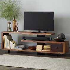 a flat screen tv sitting on top of a wooden entertainment center next to a plant