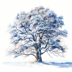 a watercolor painting of a snow covered tree