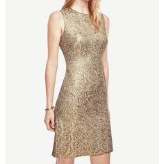 Ann Taylor Golden Shimmer Dress From Ann Taylor Great Sheath Fitted Style Stunning Dress Strapless Sheath Dress, Chiffon Shift Dress, Shimmer Dress, Chiffon Mini Dress, Mock Neck Dress, Square Neck Dress, Flare Mini Dress, Sleeveless Floral Dress, Sleeveless Sheath Dress