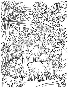 mushrooms in the forest coloring page